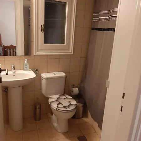Volto Apartment Steni